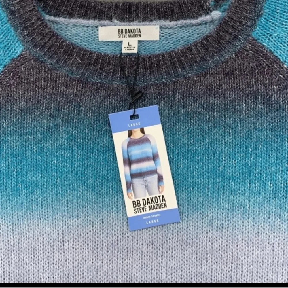 Womens BB DAKOTA By Steve Madden crew neck sweater blue stripe large new
